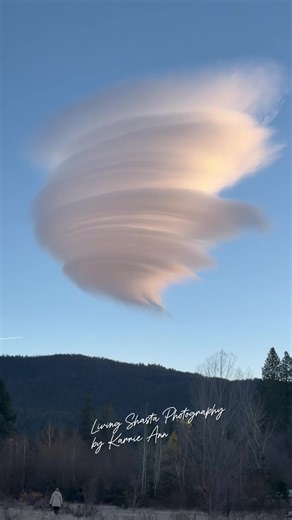 This magnificent lenticular cloud formed over Mount Shasta during the entire drive into meet my early morning surprise engagement session. I lay nonchalant in the frozen grass. They arrived, and as the mountain held that cloud perfectly behind them, she gave me the perfect amount of time to capture it all. Congratulations, Markus and Dana 🫶🏻 Rare sky. Rare moment. A beautiful way to begin a life together. #starbucks #sissonwetlands #supriseengagement #MountShastaVisitorsBureau