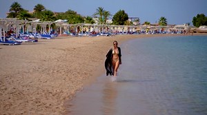 Euer Hotel liegt direkt am flach abfallenden Sandstrand! ⛱️ 🔆 Ägypten | Hurghada 🔆 7 Nächte 🔆 5☀️ Kairaba Aqua Mondo Resort 🔆 Upgrade auf DZ Poolseite 🔆 All Inclusive 🔆 Verwöhnpaket ab € 572,- ➤https://bit.ly/44FgGkB | sonnenklar.TV