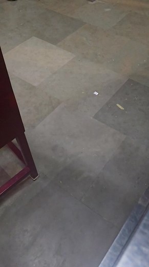 जयकारा मां बगलामुखी दा 🙌🙏 | Kangra Valley, Himachal Pradesh