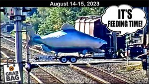 It’s Feeding Time! So Many Train Catches just for You! Please Subscribe & Like. It helps us to get more locations and keeps the Grab Bag going. | Virtual Railfan