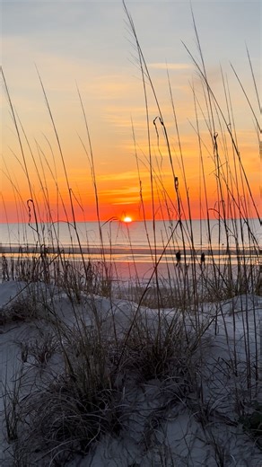 Worth waking up for 🌅 Hilton Head mornings never disappoint… sunrise or sunset, which one’s your favorite? | Spinnaker Resorts
