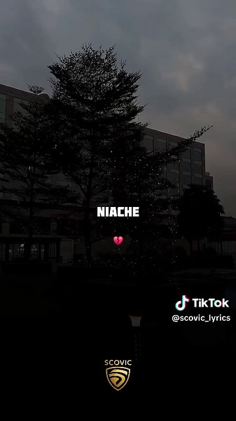 Diamond platnumz - NIACHE #lyrics #fyp #scovic #diamondplatnumz