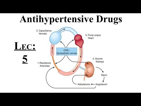 Antihypertensive Drugs \ Lec.5 part 1 \ د.احمد فارس بهية