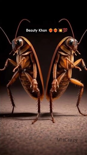 Funny Cockroach Dance 🪳🤣 | Viral Short | MHCrazy