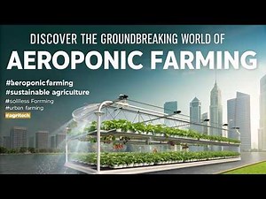The Future of Farming: Aeroponic Agriculture