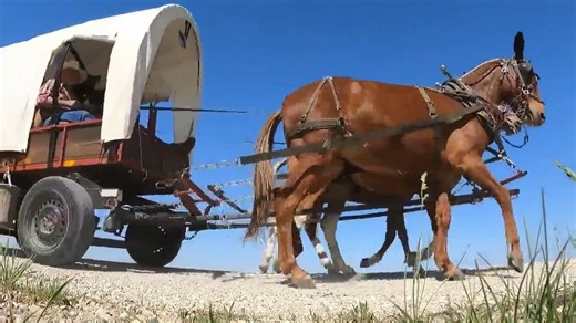 It's easy to set your cruise control and head out of state at 70 miles an hour. But sometimes, life's challenges slow everything down. Like the journey that started in southern Iowa and headed north at about 3 mph. More: https://rb.gy/nl5ic | KCCI