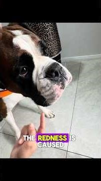 This is how Shinda recovered from Dermatitis 🤒 This is just my experience and not medical advice