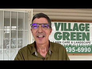 How to Get Rid of Dallisgrass in your Lawn