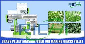 How to make alfalfa grass pellet for animals by alfalfa granulator machine? - pellet-richi.com
