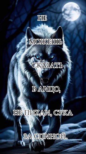 Stunning Wolf Images in Moonlit Forest and Snowy Landscapes