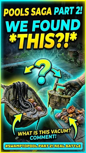 Day 2: The Swamp Finally Clears Up.