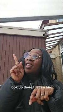 How to encourage babies to point (You can begin with them from 5/6 months old)