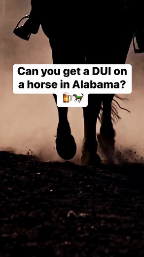 2.4K views · 31 reactions | Ever wondered if you can get a DUI on a horse in Alabama? | al.com | Facebook