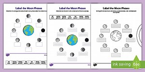 Label the Moon Phases Differentiated Worksheet for K-2nd Grade
