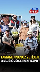 Susuz yetişen meşhur Bekilli üzümünde hasat zamanı 🔺İklim özellikleri nedeniyle Denizli’nin üzüm üretim merkezlerinden biri olan Bekilli’de, susuz tarımla yetişen, kalitesi ve aromasıyla ünlü üzümün hasadına başlandı. #üzüm #bekilli #denizli #hasat #susuztarım #çiftçi #çiftçitv #çiftçitvhaber #gündem #tarım #haber #hayvancılık #küçükbaş #büyükbaş #çiftçilik #zam #enflasyon | Çiftçi TV