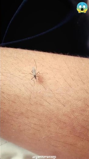 Yeh Kya Hai? Dekhte Hi Dimaag Ghoom Jayega 🤯