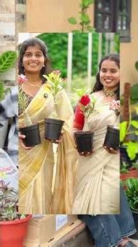 Part 7: Adenium planting #chatgpt #gardentransformation