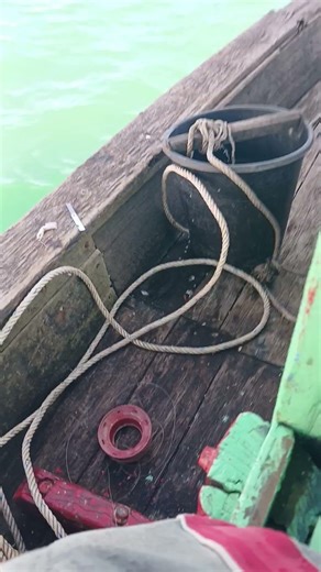 boleh aku mintak kalian bantu aku😭🙏🙏🙏 #shortvideo #subscraibe #youtubeshorts