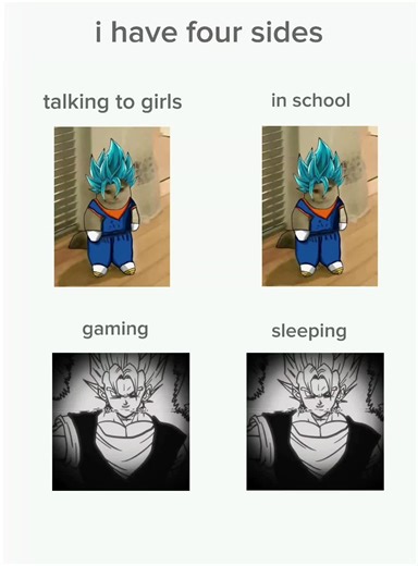 vegito sur TikTok