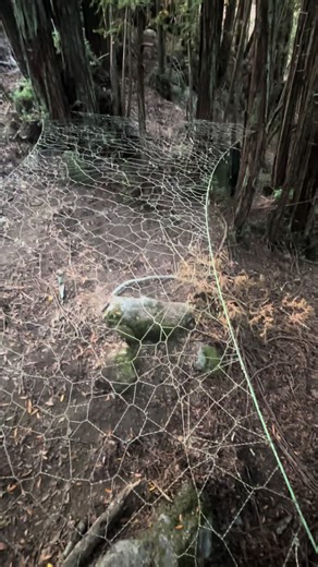 DIY Wall Bounce Test: Creative Rope Projects