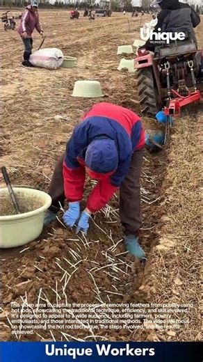 Farming for beginners: a simple guide to crop farming