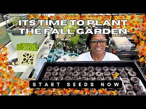 Starting My Fall Garden! 🌱 Seeds I'm Planting Right Now