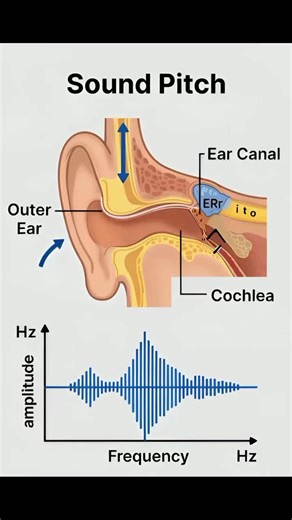 Is Pitch = Frequency? Find out in the video. #SoundWaves #Acoustics #Physics #MusicScience #SoundDesign Is Pitch = Frequency? Find out in the video.