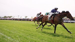 563 reactions · 125 shares | Join us for the 30th running of the Aiken Fall Steeplechase Championship on Saturday, November 18th!  See you at the racecourse where champions begin and legends reign!  | Aiken Steeplechase | Facebook