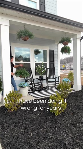 The most beautiful ferns for your front porch #ferns #HangingPlants