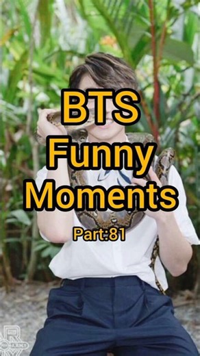 BTS Best Funny Moments | Curated Compilation