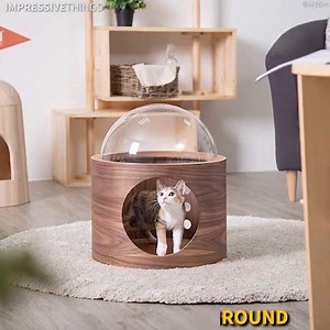Your cat needs this floating bed. get it here: https://amzn.to/2WfIARZ | Let me Share