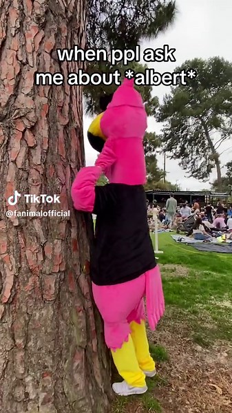 a friendly flamingo rivalry #albert #callonme #whenyoucallonme #fighting #flamingos #flamingoedit #flamingo #mascotsfunny