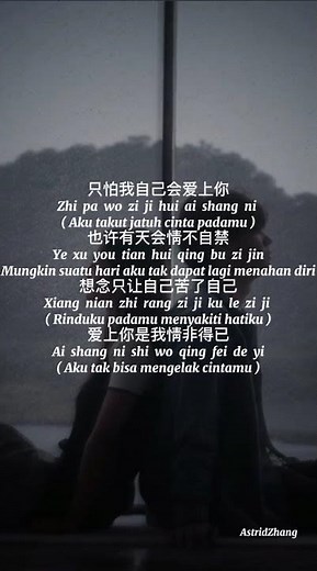 Qing Fei De Yi 情非得已 - Harlem Yu | Lyrics