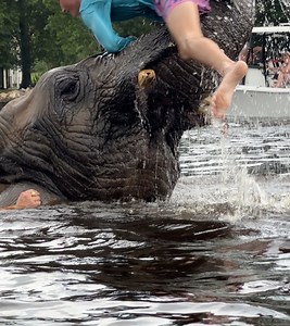 John M. Phillips on Reels | Facebook