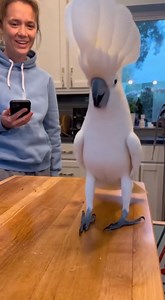 💃 move body 🦜 | Random Sparks