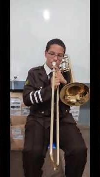 Instrumentos musicais da família dos metais
