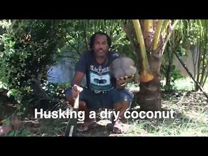 How to husk a dry coconut