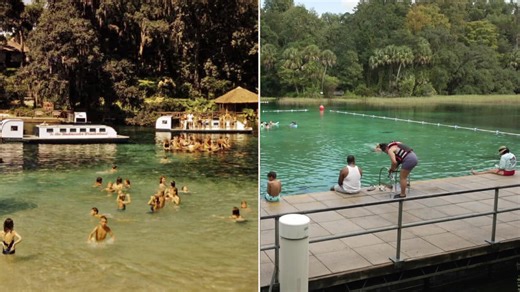 Rainbow's lost luster: Diving deep into the forgotten magic of Florida's Rainbow Springs