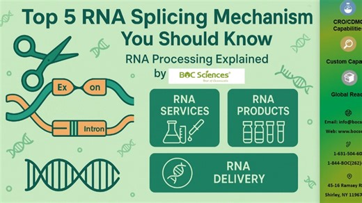 BOC Sciences on Instagram: "🔬 Top 5 RNA Splicing Mechanisms Every Biopharma Researcher Should Understand Alternative splicing is a critical layer of gene regulation and a core focus area in modern RNA biology and biopharma R&D. This expert-led video breaks down five key RNA splicing mechanisms that are shaping how researchers interpret transcript diversity and regulatory complexity. 🎥 Watch the full video on YouTube: 👉 https://youtu.be/v_Rzmeb2z_o At BOC Sciences, we support RNA-focused resea