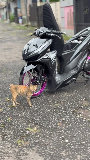 deprok tu pake 17,IZINN😈🫸🏻 #vario125 #fyp #