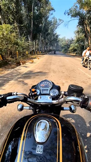 Royal Enfield Bullet Standard 350 Just feel the thump 🖤🖤 | Cafe Racers Club