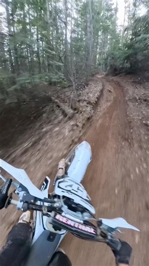 Woods flow 🌊 on tx300 #dirtbike #tx300