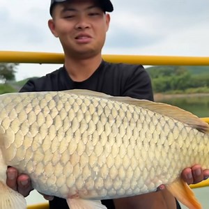 1.6M views · 25K reactions | Cách câu lancer hiệu quả cao #lkhoa | L.k. Hoa | Facebook