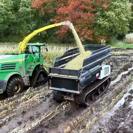 Farming is a hard life and moments like these make it even harder but we have no choice and have to keep going🌱😞 | Big Machines
