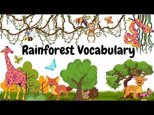 Rainforest Vocabulary for Kids || Explore the Rainforest - Educational Video || Learn about Nature