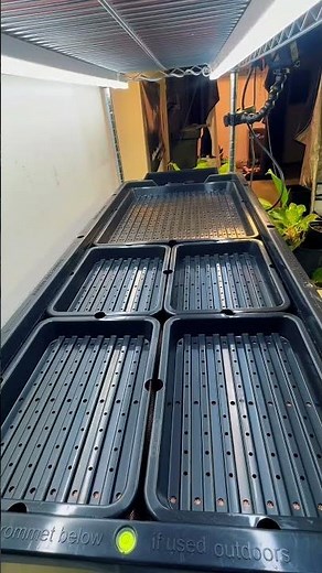 Mini Microgreens Trays are here for the Tray2Grow System! More ways to grow more greens!