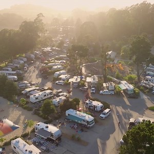 210 reactions · 17 shares | Go ahead, use that PTO. You deserve a mid-week getaway in a cabin this fall! Experience camping close to the beaches with beautiful grounds, mature trees , cozy cabins and campfire stories - all without the weekend crowds. | Santa Cruz / Monterey Bay KOA Holiday | Facebook