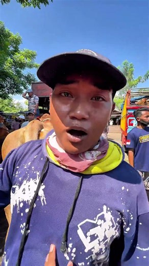 BADAK JAWA LIAR, TAWARAN 55 JUTA 🔥 #sapi #jumbo #raksasa #mahal #big #show #review #viral #fyp