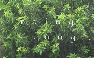 太阳雨 || 尼康 Z6 动态dlighting Hi+|| FL平面模式