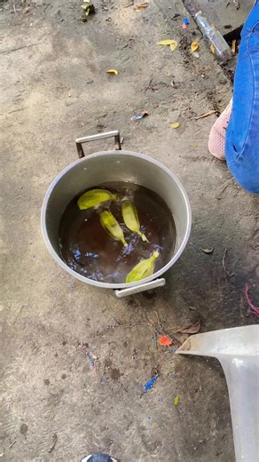 27 reactions | My Steering squad  #highlightsシ゚ #UnbotheredQueen | Decor An Re | Facebook